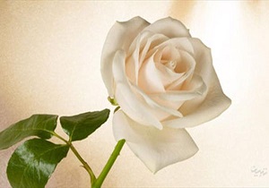 بهترین هدیه مرد برای همسرش
