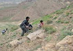 اسب تیزپای نابودی طبیعت در کهگیلویه می&zwnj;تازد/ تخریب محیط زیست مصداق بارز بی&zwnj;عدالتی است