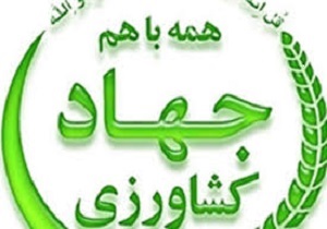 ایجاد 12 سایت الگوی تولیدی و ترویجی د رکردستان