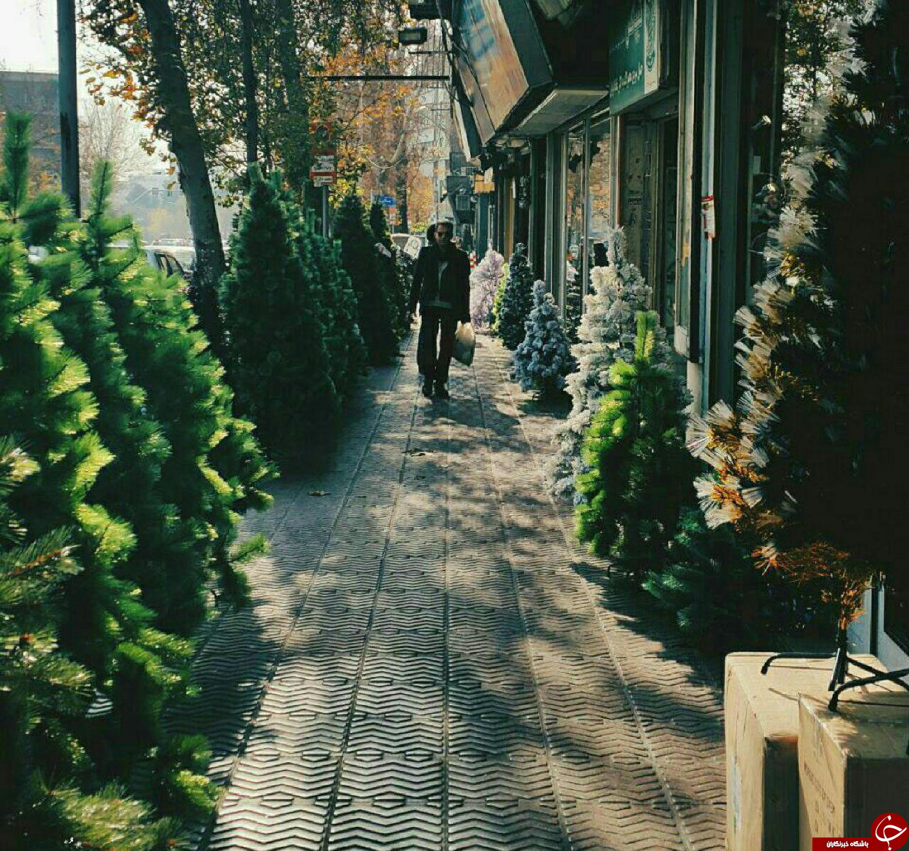 کریسمس درخیابان های قدیمی تهران