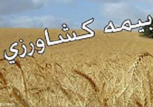 کشاورزان استان قزوین برای بیمه محصولات باغی اقدام کنند