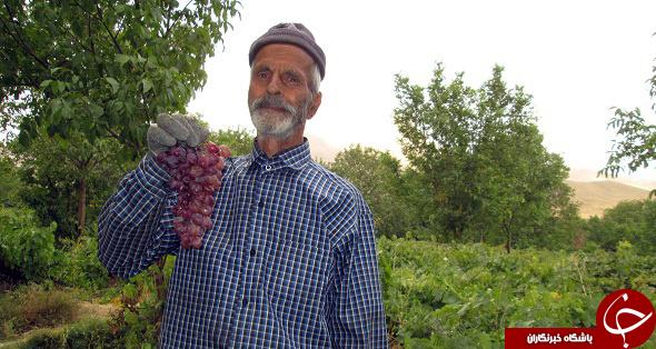 عکس هایی که بوی زندگی می دهد( قسمت نوزدهم)
