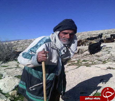 چوپان 90 ساله کوهنورد +تصاور