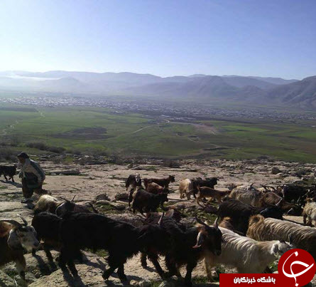 چوپان 90 ساله کوهنورد +تصاور