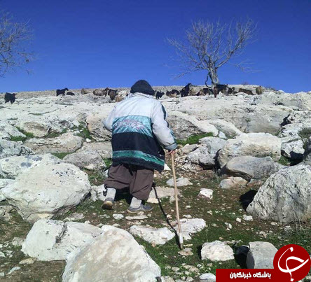 چوپان 90 ساله کوهنورد +تصاور