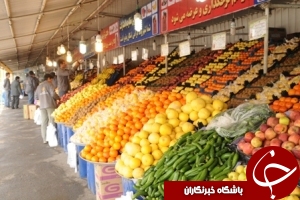 گوجه فرنگی ارزان شد