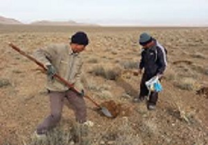 اجرای پروژه کپه کاری درمراتع شهرستان البرز