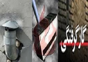 کاهش آمار جان باختگان ناشی از گاز گرفتگی