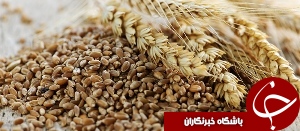 توزيع بیش از 39 هزارتن سبوس درخوزستان