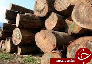 کشف و ضبط بیش از 3 هزار اصله چوب جنگلی قاچاق در شهرستان آستارا