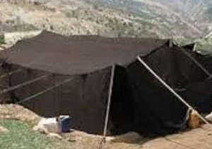 چرخه حمایت اجتماعی از زنان روستایی و عشایری تشکیل شود