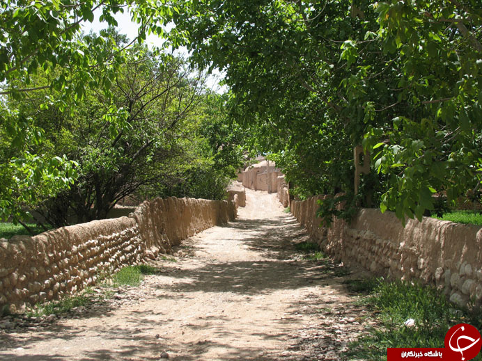 عکس هایی که بوی زندگی می دهد (قسمت بیستم)
