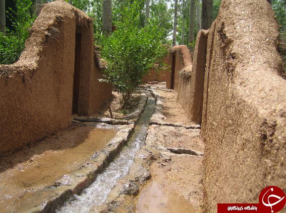 عکس هایی که بوی زندگی می دهد (قسمت بیستم)