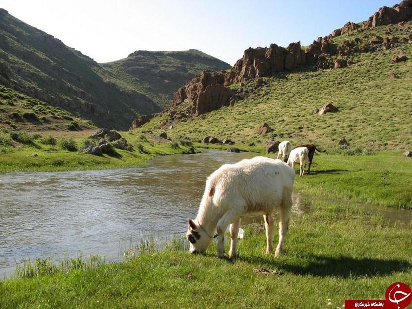 عکس هایی که بوی زندگی می دهد (قسمت بیستم)