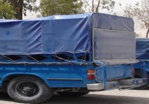 کشف بیش از 2 تن ماهی قاچاق در گلستان