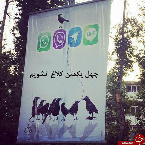جز شِیر نباید کرد، هر شِیر نشاید کرد