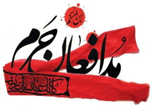 جمع آوری پوشاک گرم برای مدافعان حرم