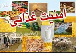 توزیع بسته جدید امنیت غذایی برای 10میلیون نفر