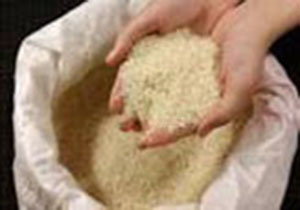 توقيف برنج های ميلياردی قاچاق در اليگودرز