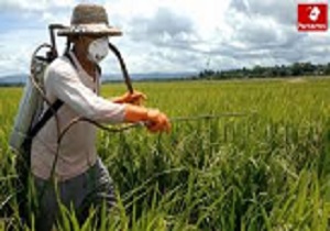 آموزش اصول باغبانی به باغداران آبیکی