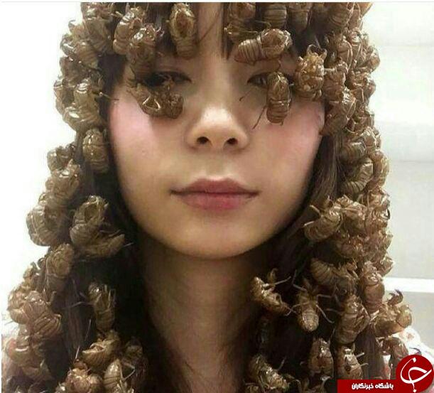 چندش آورترین عکس دنیا