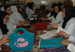 یک هزار و846نفر در مناطق عشایری و روستایی آموزش فنی وحرفه ای دیدند