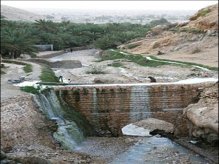 زیستگاه ماهی آفانیوس گینوئیس در جهان جاذبه گردشگری هرمزگان + تصاویر