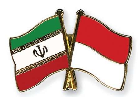 وزرای خارجه جمهوری اسلامی ایران و اندونزی رایزنی کردند