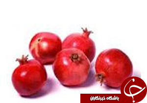 برگزاری دوره آموزشی هرس و کود دهی زمستانه در چترود و هوتک