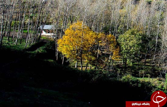 زيبايي هاي خیره کننده گردنه حيران + تصاویر