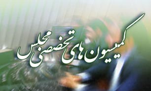 حضور 7 وزیر در کمیسیون‌های تخصصی همراه با بررسی حادثه سفارت عربستان