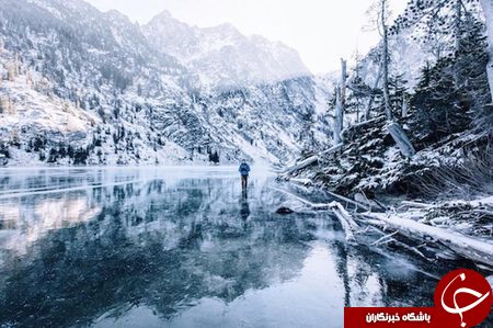 پربازدیدها