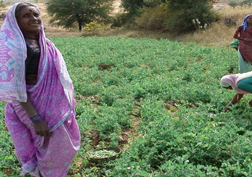 هیواری بازار، ثروتمندترین روستای هند + تصاویر