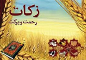 جمع‌آوری ۵۷ میلیارد ریال زکات در استان قزوین
