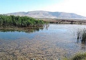 پیشرفت فیزیکی 90 درصدی سایت پرنده‌نگری تالاب هشیلان