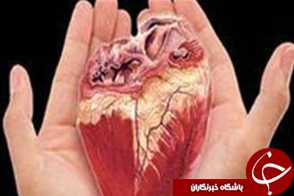 اهدای اعضای بدن پسر دو ساله