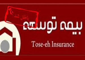 ۲۸۰ محکوم دیه درگیر ورشکستگی‌ بیمه‌ توسعه