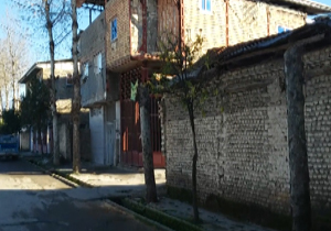 بلای شهرداری سر درختان! + فیلم