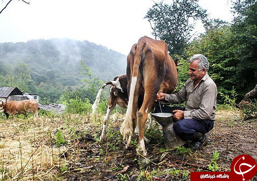 عکس هایی که بوی زندگی می&zwnj;دهند(قسمت بیستم)