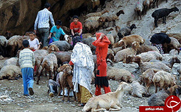 عکس هایی که بوی زندگی می&zwnj;دهند(قسمت بیستم)