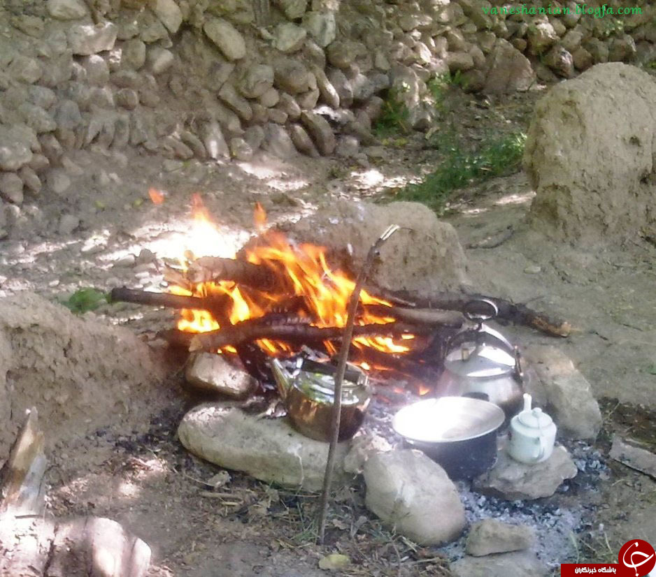 عکس هایی که بوی زندگی می&zwnj;دهند(قسمت بیستم)
