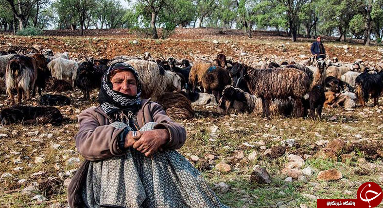 عکس هایی که بوی زندگی می&zwnj;دهند(قسمت بیستم)