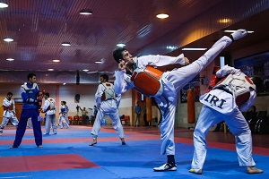 هادی پور و عميدی از 3 بهمن‌ در اردو