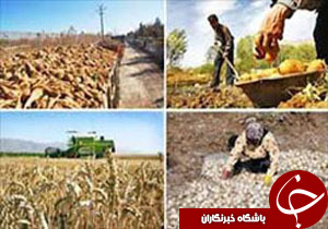 افتتاح 4 پروژه کشاورزی در دهه فجر در انار