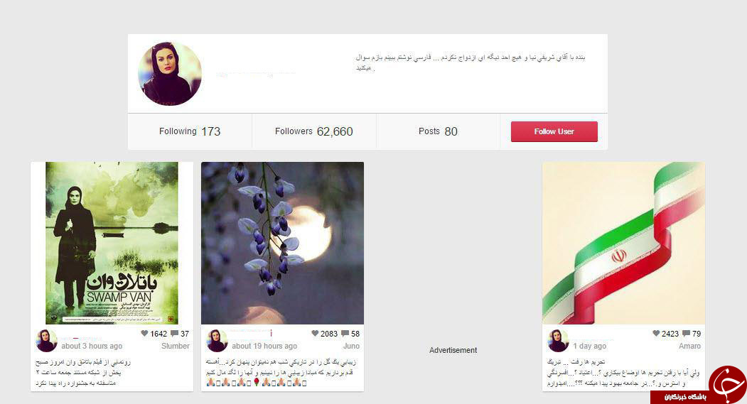 اینستاگردی