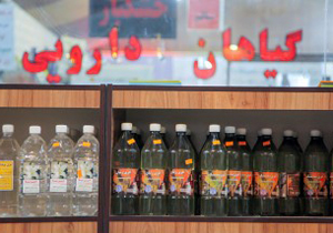 شهرداری از تولیدکنندگان داخلی گیاهان داروئی حمایت می کند