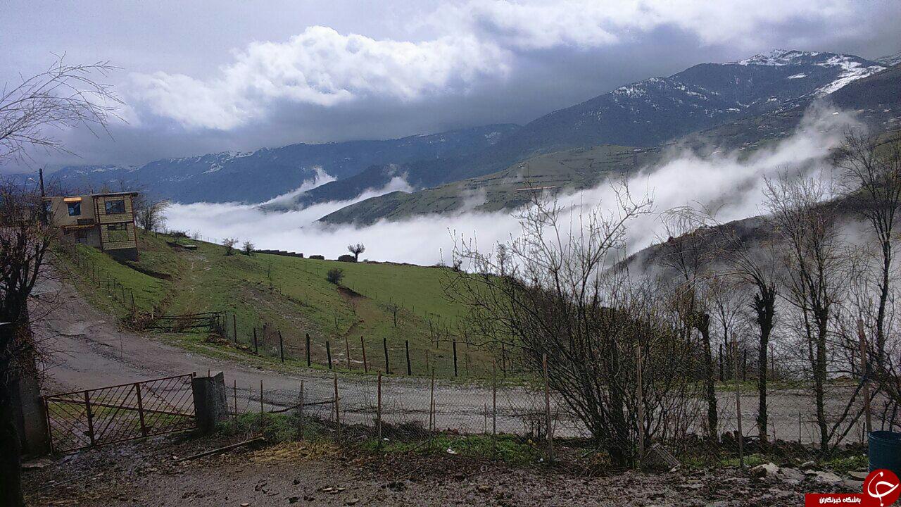 منظره ای زیبا از رودبار + تصاویر