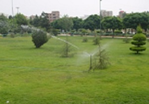 جایگزینی چمن به گونه‌هایی با نیاز آبی پایین
