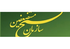 هیچ  انحراف و تحلیلی، خللی در  مسیر امام  و رهبری ایجاد نمی کند