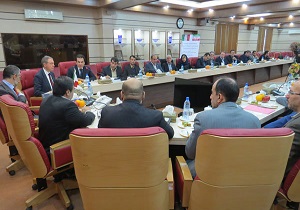 قزوین آماده همکاری در تولید محصولات مشترک با ایتالیاست